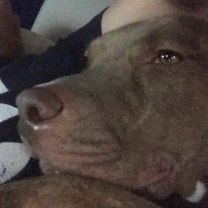 Meet your Posher, Rob